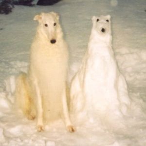 Meet your Posher, Conner